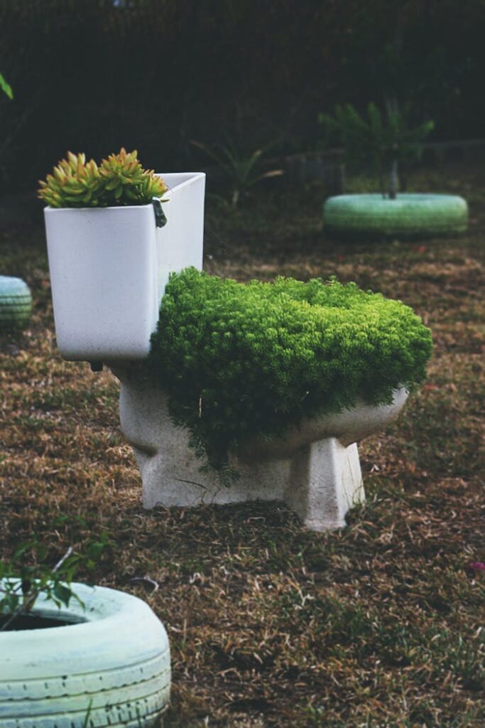 Creative garden design featuring succulents in a repurposed toilet planter, showcasing urban gardening.
